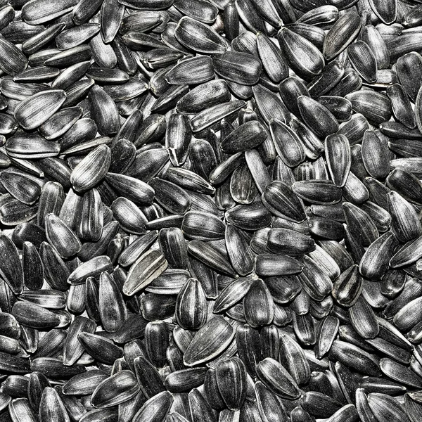 Black sunflower seeds background — Stock Photo, Image