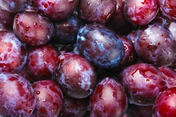 stock image Plums fruit on market as background