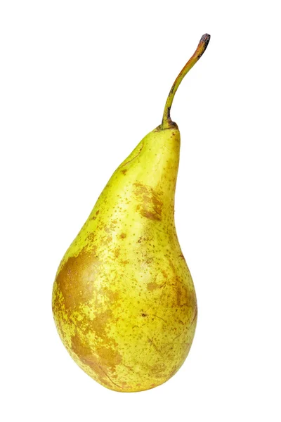Gamla päron — Stockfoto