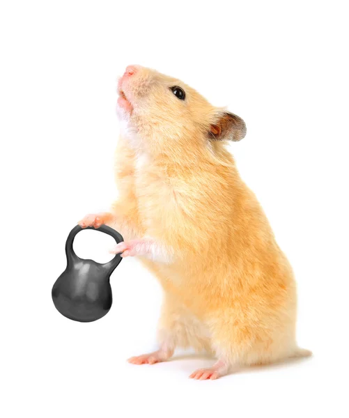 Hamster with bar — Stock Photo, Image