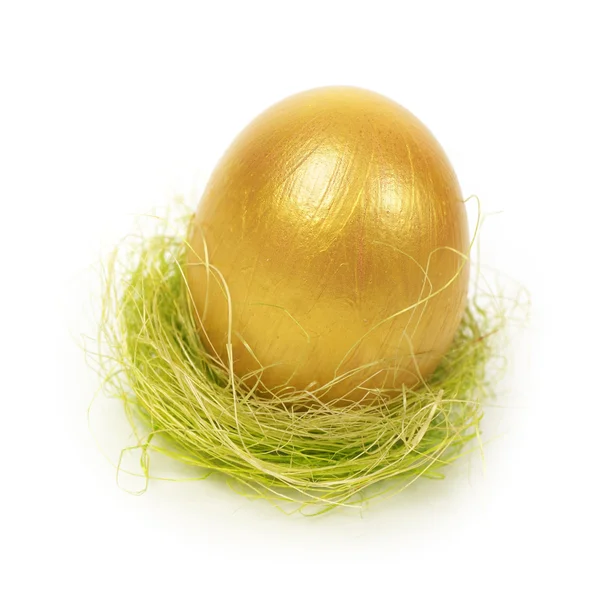 Egg in nest — Stock Photo, Image