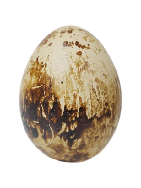 Jedno jajko — Zdjęcie stockowe