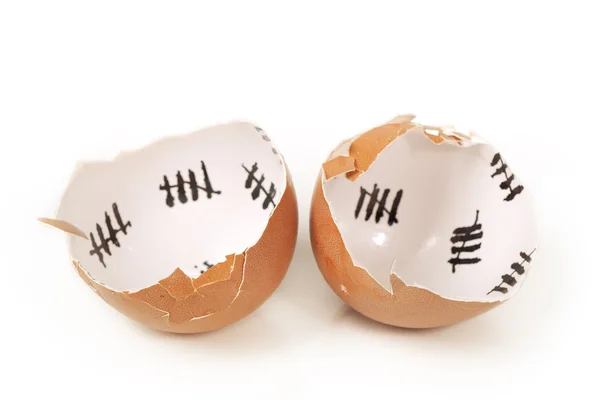 stock image Broken egg shell