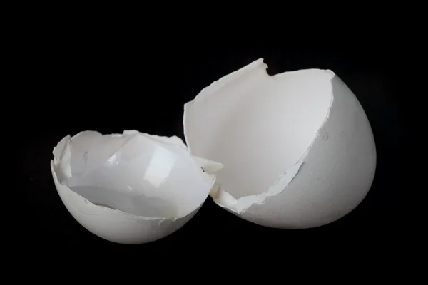 Κέλυφος αυγού — Φωτογραφία Αρχείου