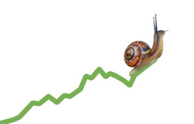 Snail on chart currency clipart