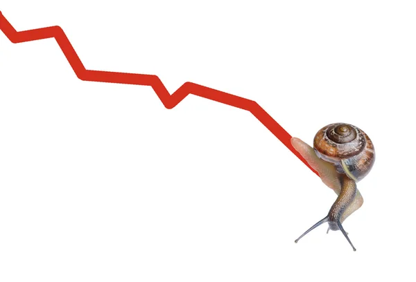 Snail on chart currency — Stock Photo, Image