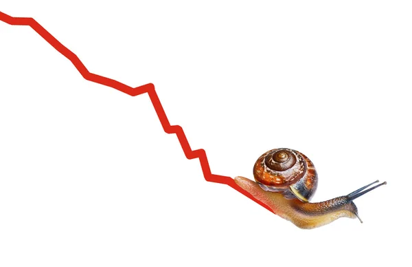 Ślimak na wykres waluty — Zdjęcie stockowe