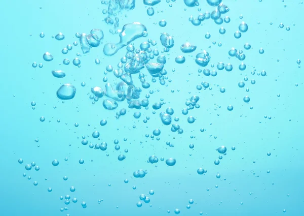 Bule în apă — Fotografie, imagine de stoc