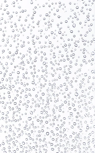 Orvalho de água sobre fundo branco — Fotografia de Stock
