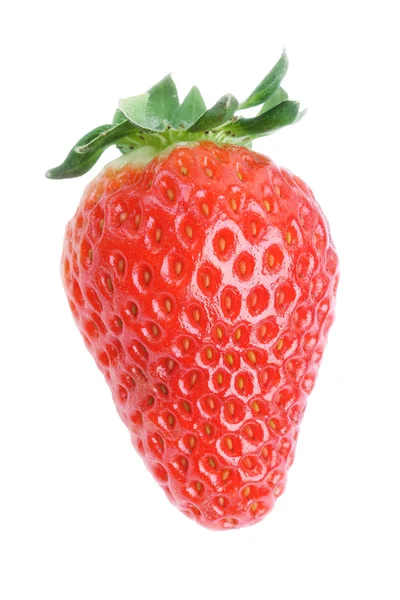 단일 신선한 붉은 딸기 — 스톡 사진