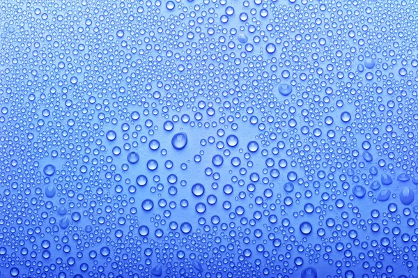 Water dew — Stock Photo, Image