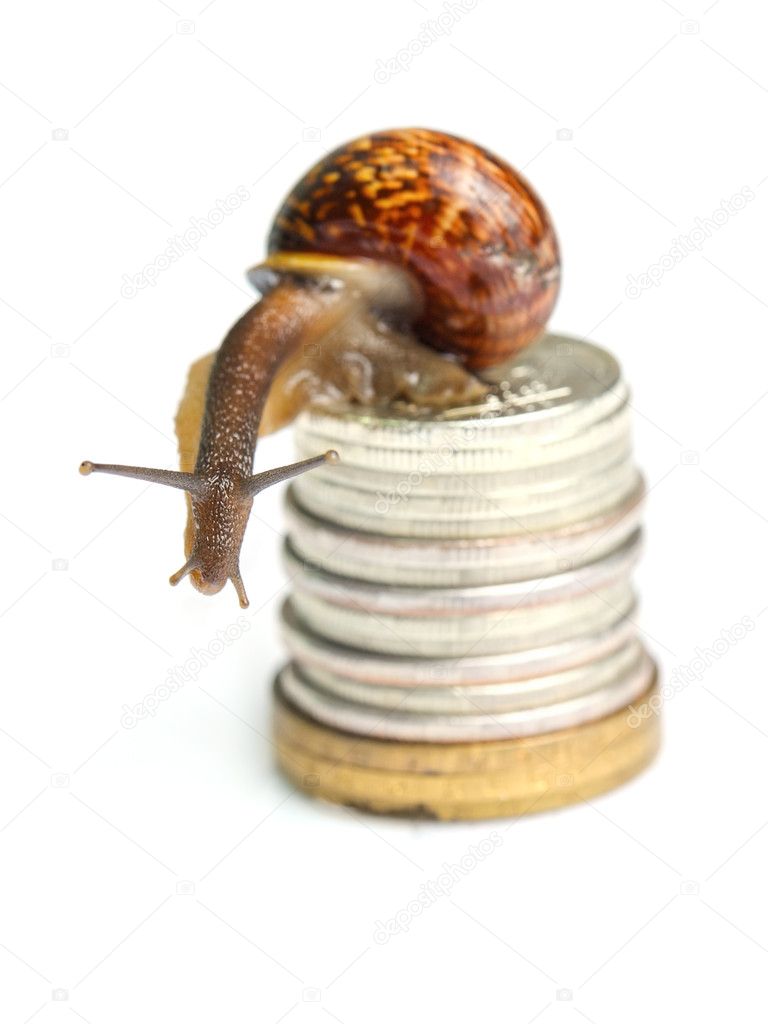 Snail on coins