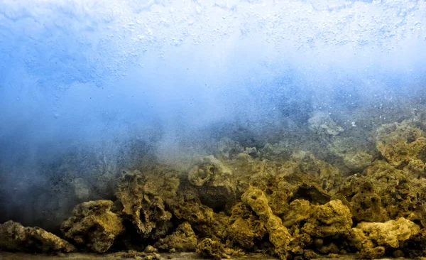 Sierletter onderwater — Stockfoto