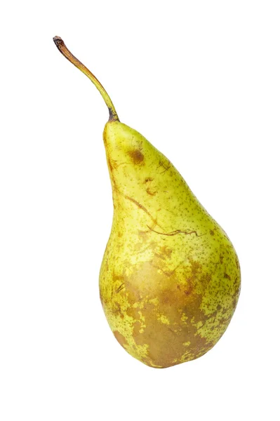 Gamla päron — Stockfoto