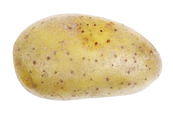 Één aardappel — Stockfoto