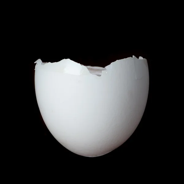 Яичная скорлупа — стоковое фото