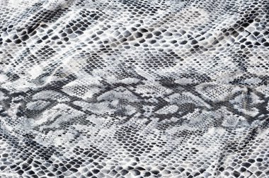 Snake skin textile as textire clipart