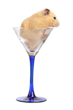 Hamster in glass clipart