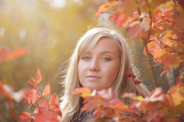 Woman in the autumn — Stock Photo, Image