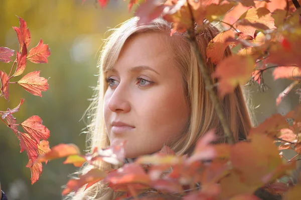 Nainen syksyllä — kuvapankkivalokuva