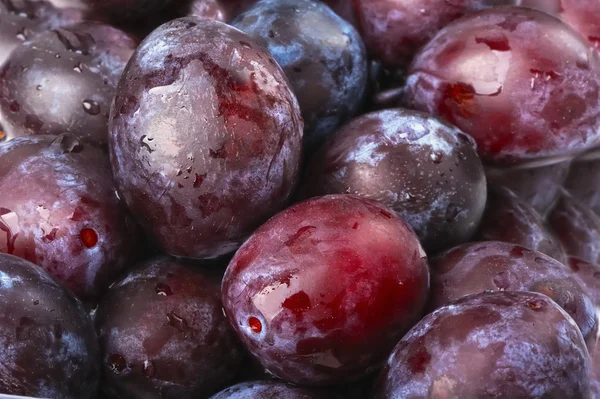 stock image Plums fruit