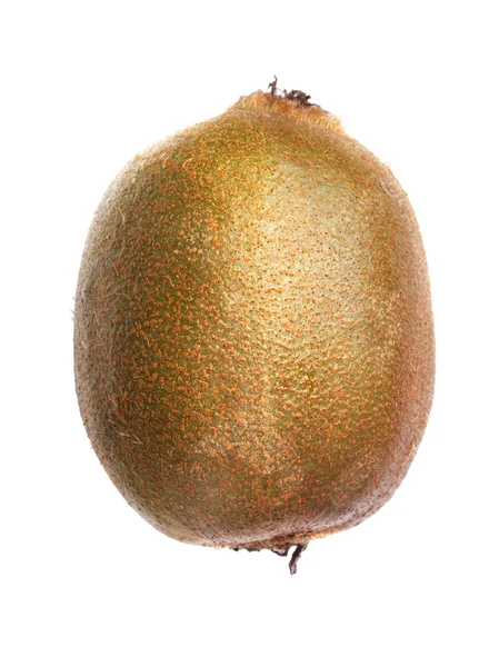 Satu kiwi — Stok Foto