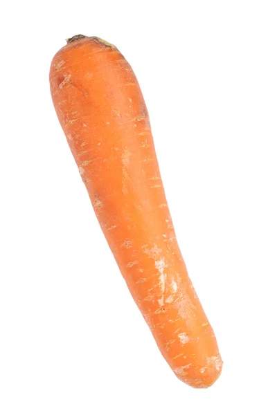 stock image Carrot