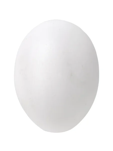 Telur tunggal — Stok Foto