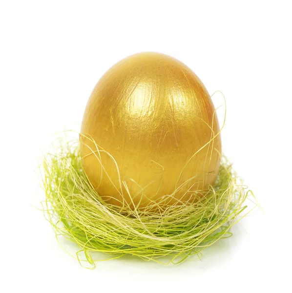 Egg in nest isolated — Stock Photo, Image
