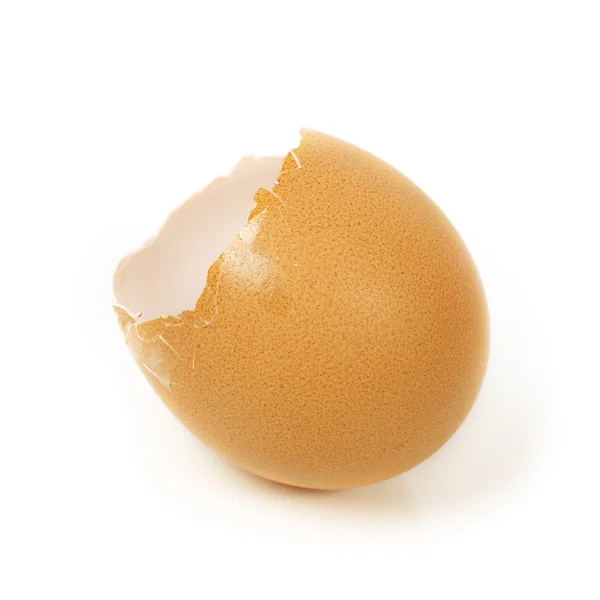 Яичная скорлупа — стоковое фото