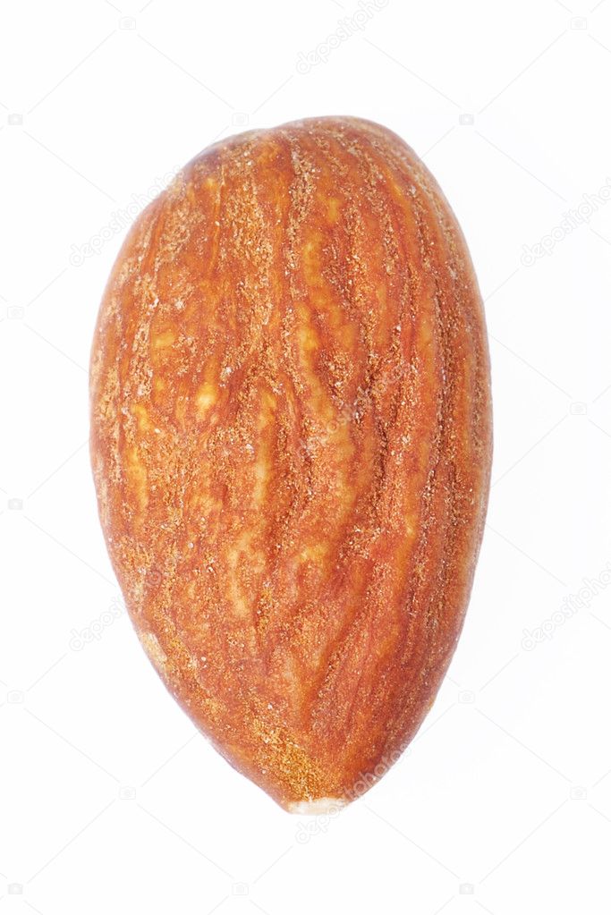 One almond nut isolated on white background