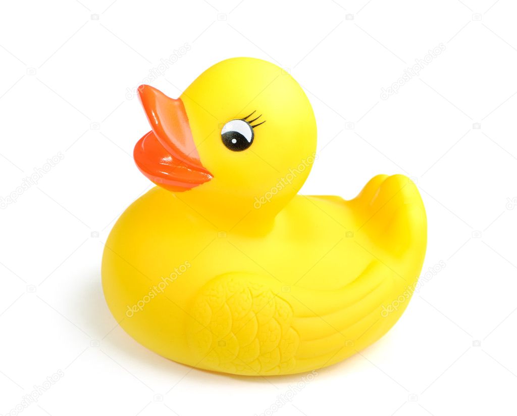 Yellow duck toy