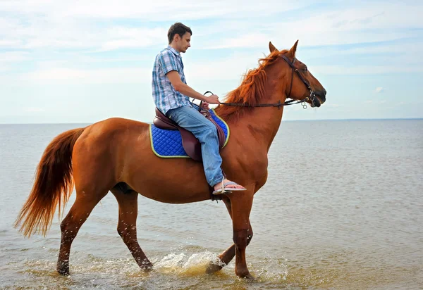 Mies hevosen selässä — kuvapankkivalokuva