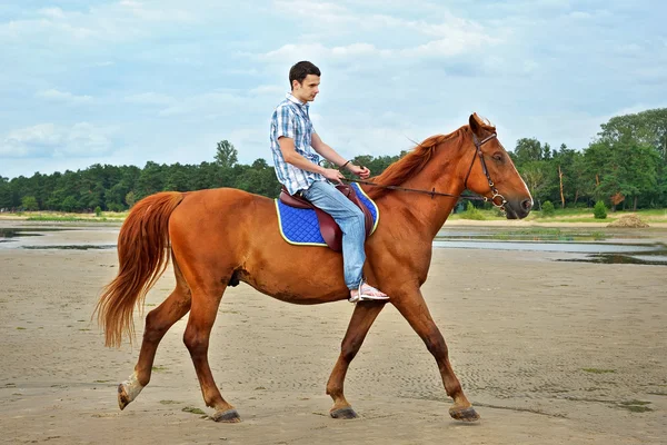 Mies ratsastaa hevosella — kuvapankkivalokuva