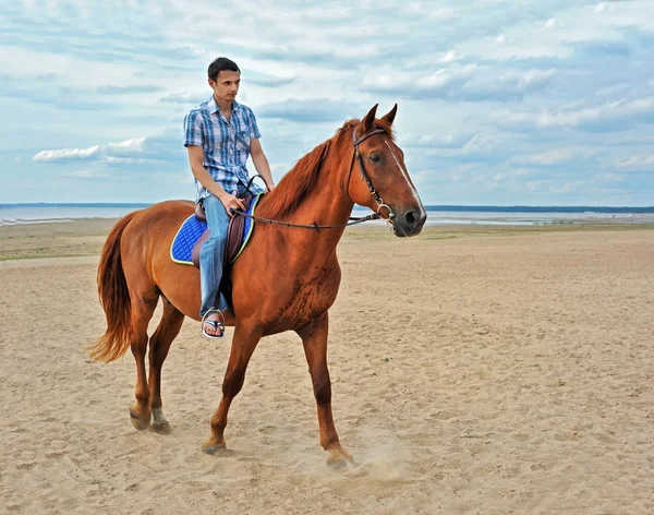 Man on horse in nature — Stock Photo, Image