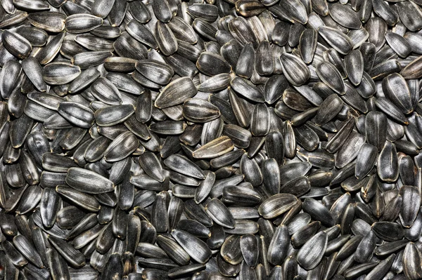 Black sunflower seeds as background — Stock Photo, Image