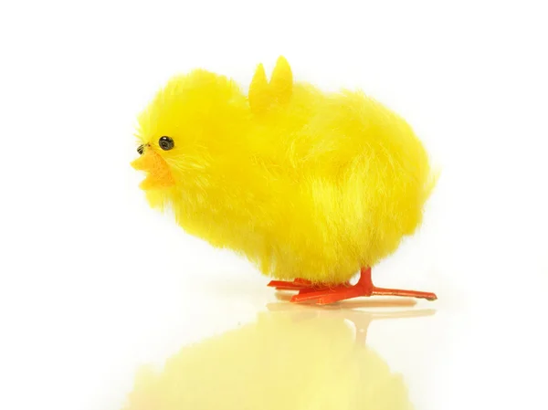 Kurczak Mały ozdobny — Zdjęcie stockowe