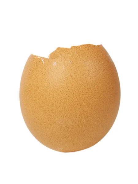 Shell telur — Stok Foto