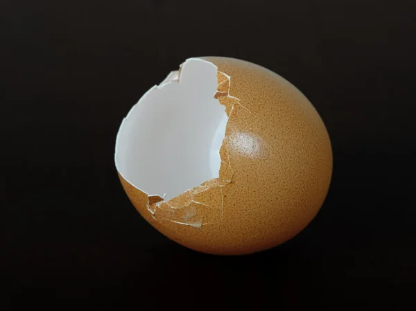 Cáscara de huevo — Foto de Stock