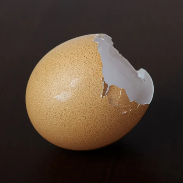 卵壳 — 图库照片