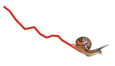 Snail on chart currency clipart