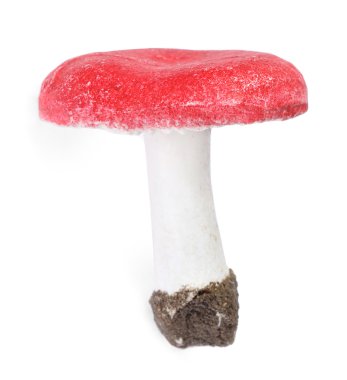 Mushroom isolated clipart