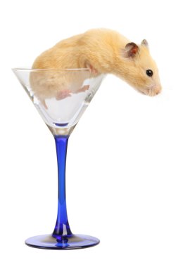 Hamster in glass clipart