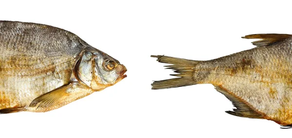 Два куска сухой рыбы — стоковое фото