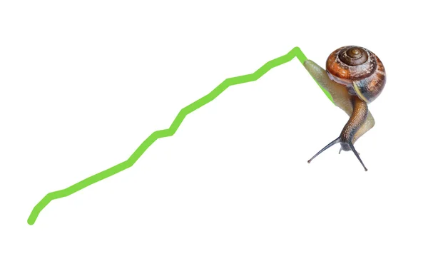 Snail on chart currency — Stock Photo, Image
