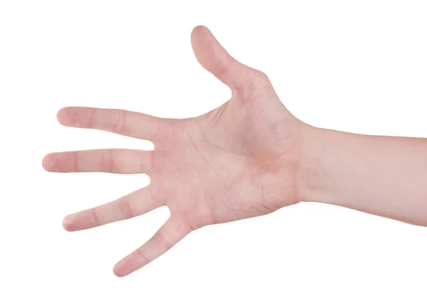 Gesto mão aberta isolado no fundo branco — Fotografia de Stock