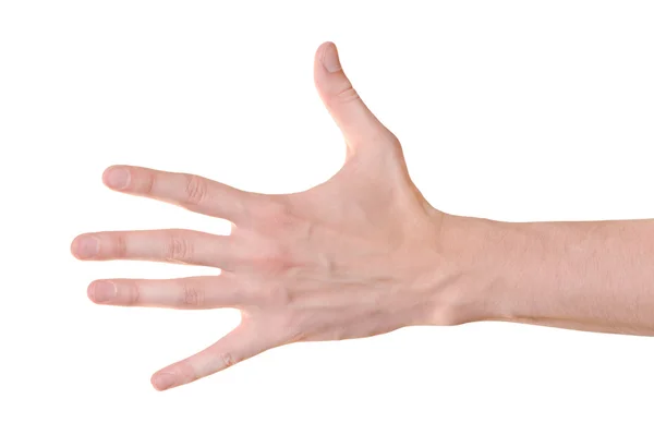 Mão gesto de macho isolado em branco — Fotografia de Stock