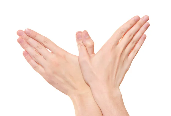 Mãos gesto como um pássaro isolado no branco — Fotografia de Stock