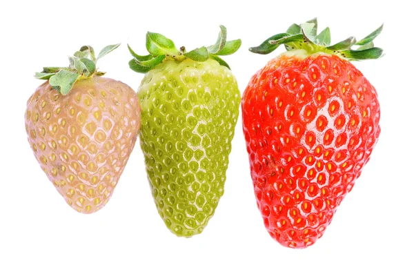 3 olika jordgubbar — Stockfoto