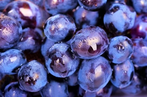 Bando de uvas como fundo — Fotografia de Stock